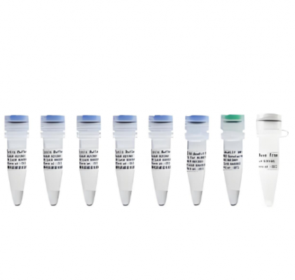 尿總蛋白（utp）測(cè)定試劑盒50人份/盒廠家